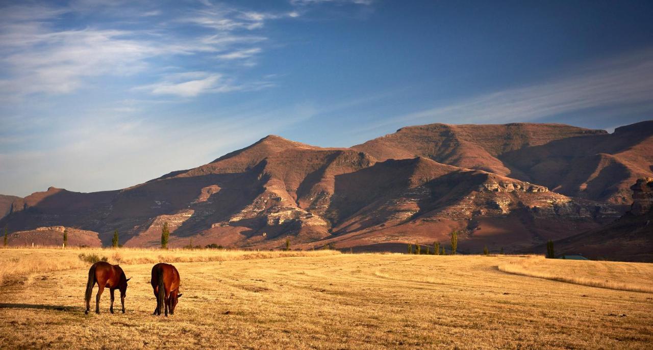 Apartament Dynasty Red Mountain Ranch Clarens Zewnętrze zdjęcie