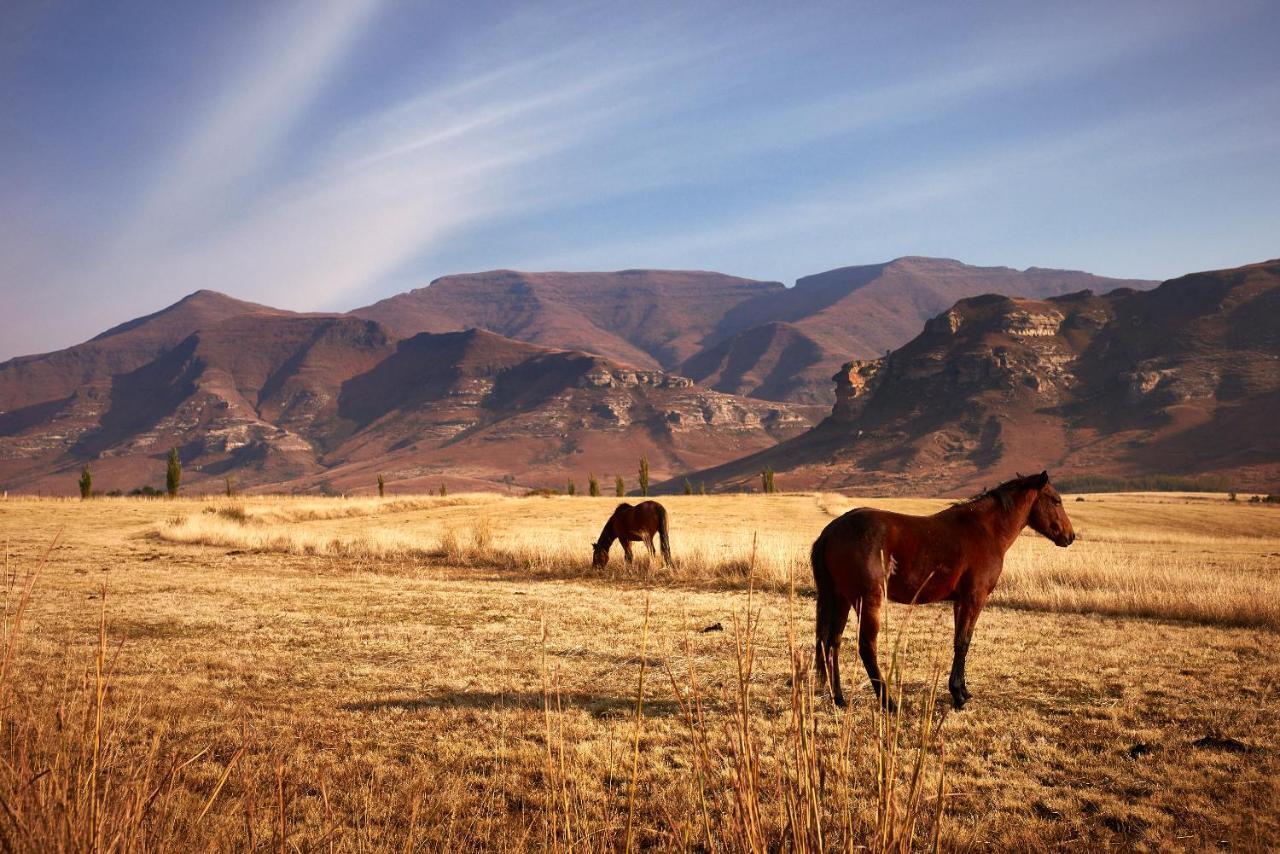 Apartament Dynasty Red Mountain Ranch Clarens Zewnętrze zdjęcie